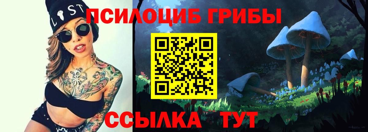 Иваново  Галлюциногенные грибы Cubensis  Вход с VPN 